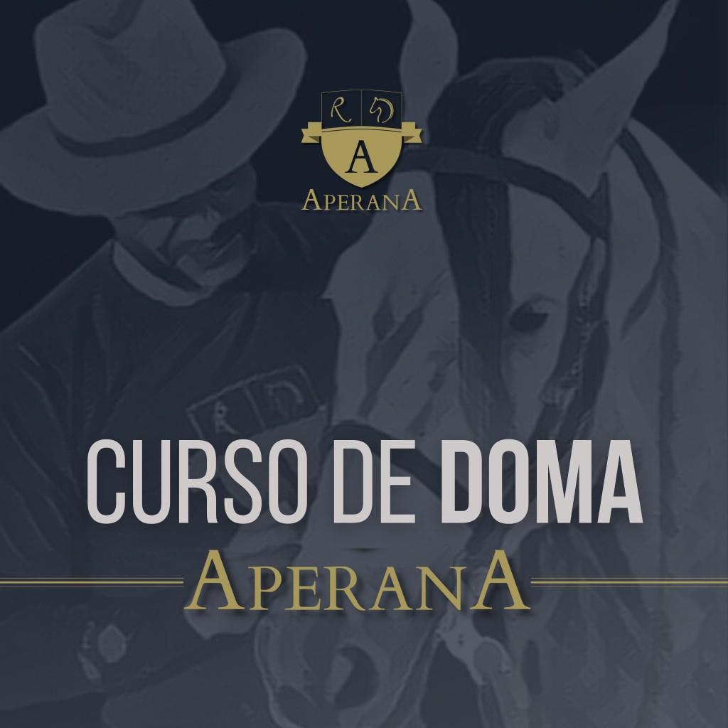 Arte de capa do curso